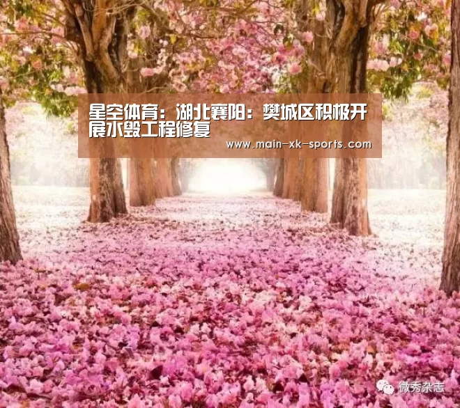 星空体育app下载