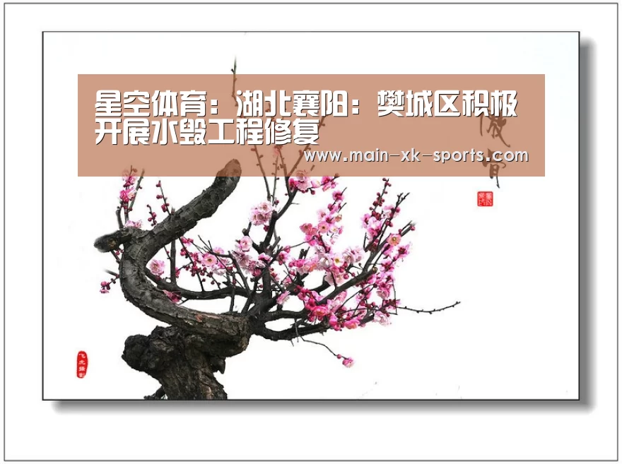 星空体育app下载