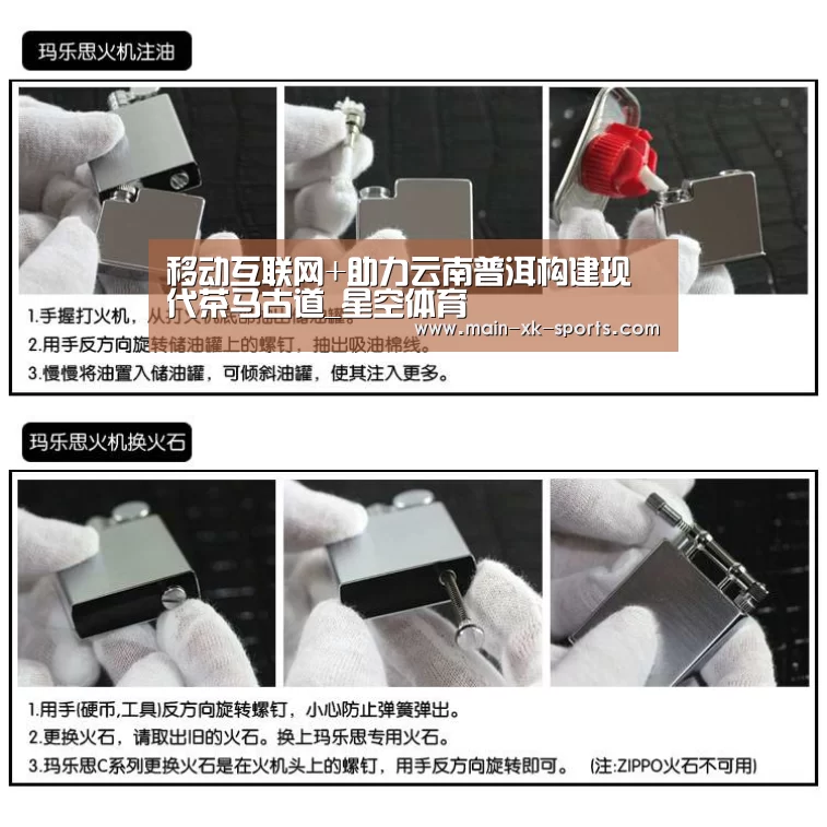 移动互联网+助力云南普洱构建现代茶马古道_星空体育(图2) 星空体育app下载